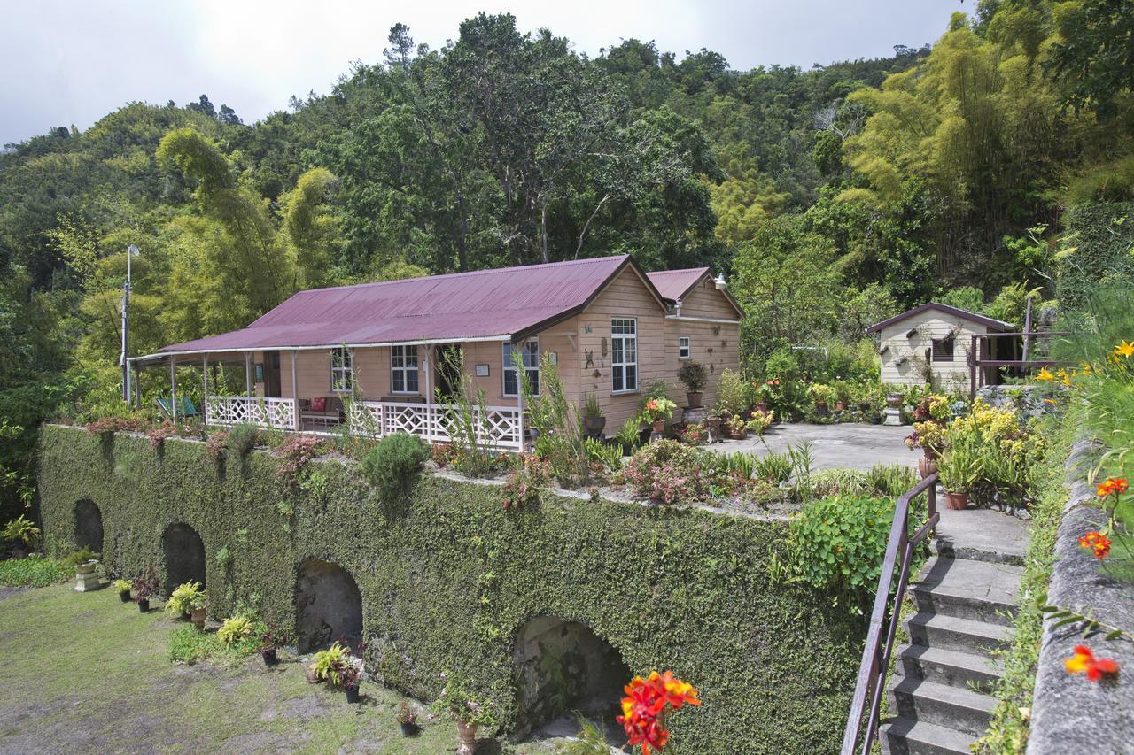 Barbecue Heritage Gardens Cottage - JM Newcastle Extérieur photo